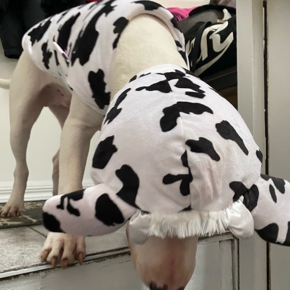 Adorable Doggie Costume - Picture 3 of 12